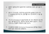Paper Chromatography 실험-7