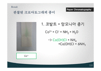 Paper Chromatography 실험-11