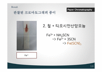 Paper Chromatography 실험-12