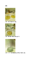 [환경오염물분석 및 실험] 중크롬산칼륨법에 의한 매지 호수의 화학적 산소요구량 측정-4