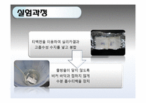 [화학공학] 하이드로겔을 이용한 깔창-10