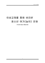 [청소년 여가] 이성교제를 통해 바라본 청소년 여가(놀이) 문화-1