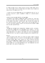 [청소년 여가] 이성교제를 통해 바라본 청소년 여가(놀이) 문화-10
