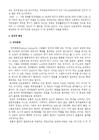 인도 IT산업 발전과 한국의 대응-6