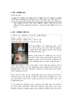 [장애인복지론] 장루 요루 장애-17