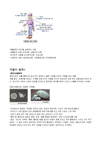 약물범죄 레포트-3