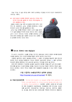 이성교제의 역기능(문제점)에 대한 대처 방법 조사-6