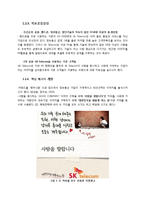 [PR학] PR 성공 사례& 실패사례 연구 -SKT와 스노우社-5