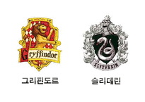 [리더십] `해리포터`시리즈의 덤블도어와 볼드모트의 리더십 비교분석-6