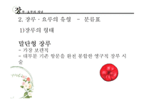 [장애인복지론] 장루 요루 장애-6