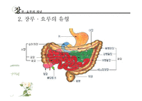 [장애인복지론] 장루 요루 장애-9