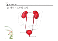 [장애인복지론] 장루 요루 장애-10