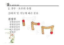 [장애인복지론] 장루 요루 장애-11