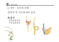 [장애인복지론] 장루 요루 장애-12