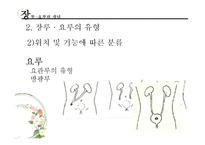 [장애인복지론] 장루 요루 장애-13