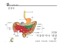 [장애인복지론] 장루 요루 장애-15
