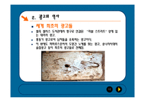 [대중매체] 광고란-12