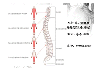 [장애인복지론] 지체장애 원인 및 실태, 치료-6