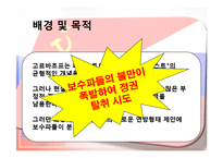 러시아 정치사 레포트-17
