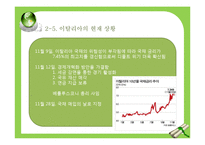그리스 유로존의 위기-13