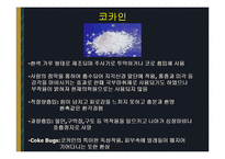 약물범죄 레포트-15