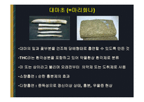 약물범죄 레포트-16