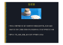 약물범죄 레포트-20