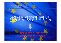[국제협상] EU 설립과정협상& EMU(EU의 경제통화동맹)협상-19