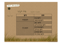 [장애인복지론] 간질 장애 원인 및 실태, 치료 및 대처사항-4