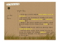 [장애인복지론] 간질 장애 원인 및 실태, 치료 및 대처사항-8