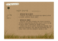 [장애인복지론] 간질 장애 원인 및 실태, 치료 및 대처사항-9