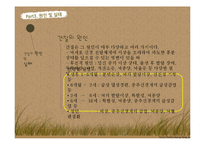 [장애인복지론] 간질 장애 원인 및 실태, 치료 및 대처사항-11