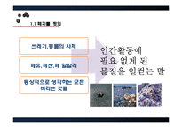 [환경윤리] 폐기물 오염-4