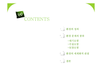 [환경문제] 환경의 세계화-2