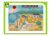 [환경문제] 환경의 세계화-11