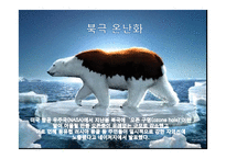 [환경문제] 환경의 세계화-14