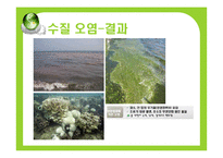 [환경문제] 환경의 세계화-18