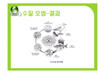 [환경문제] 환경의 세계화-19
