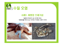 [환경문제] 환경의 세계화-20