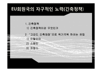 유럽 재정위기 해결방안-16