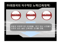 유럽 재정위기 해결방안-18