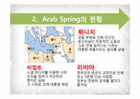 아랍스프링 이후 아랍과 이스라엘의 관계-4