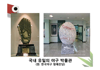 [스포츠 경영론] 대한야구협회(KBA)-9