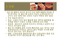 산후조리 레포트-7