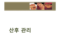 산후조리 레포트-10