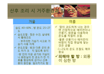 산후조리 레포트-15