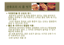 산후조리 레포트-17
