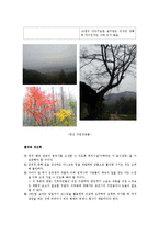 [문학답사] 김유정 문학 `문학기행`-19