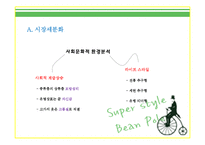 빈폴 마케팅사례분석및 새로운 마케팅전략제안-8