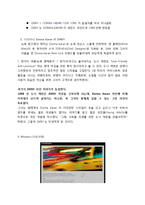 DKNY 브랜드분석,마케팅전략,성공원인,문제점및 향후방안,나의견해-3